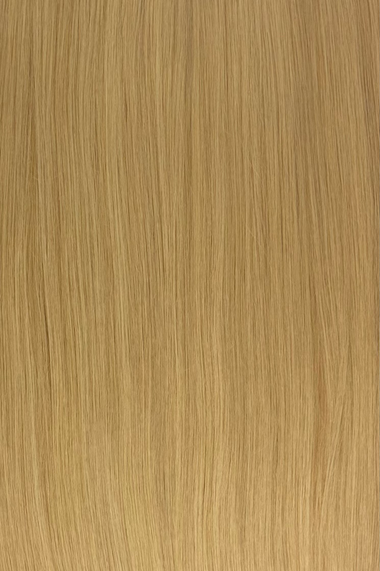 BLONDIE